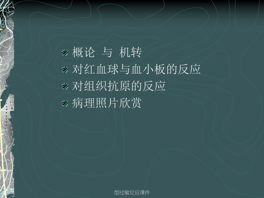 型过敏反应课件.ppt_第2页