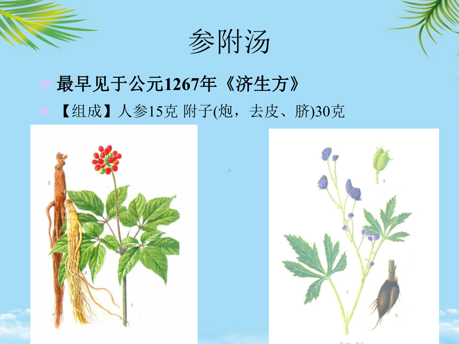 参附注射液在急危重症中的应用研究课件.ppt_第2页