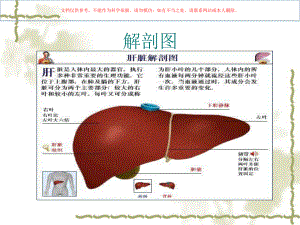 右半肝切除术课件.ppt