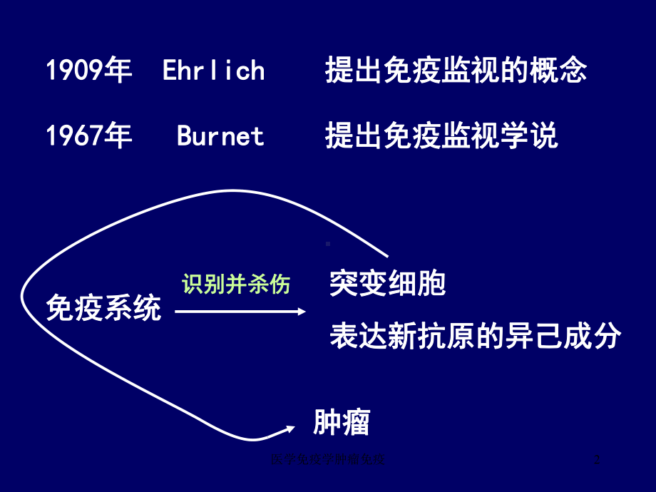 医学免疫学肿瘤免疫课件.ppt_第2页