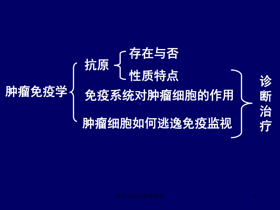 医学免疫学肿瘤免疫课件.ppt_第3页