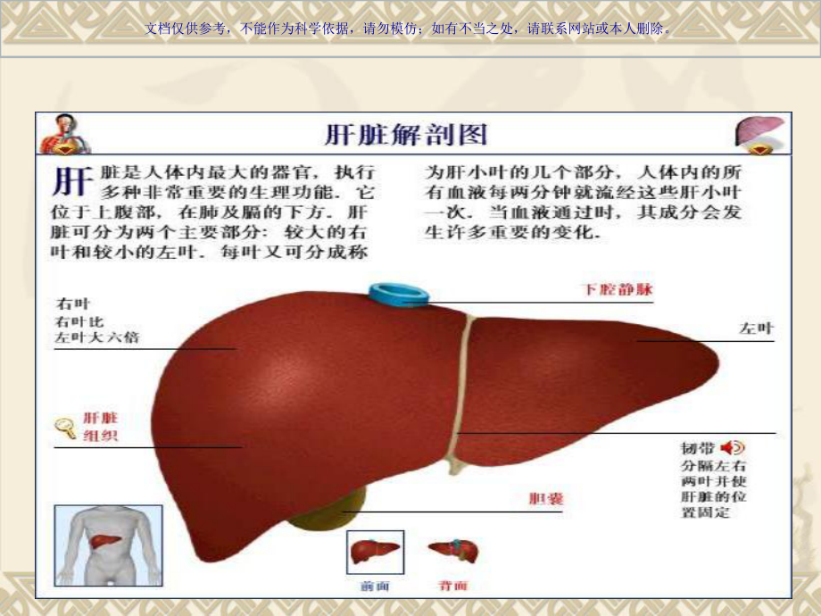 原发性肝癌的手术配合课件.ppt_第1页