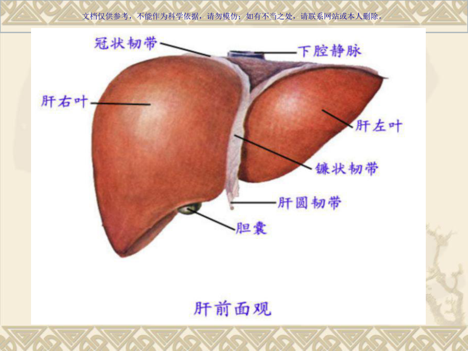 原发性肝癌的手术配合课件.ppt_第2页