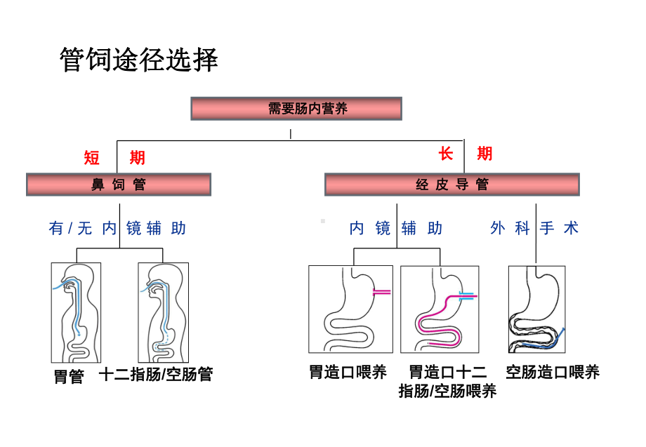 多功能胃肠管课件.ppt_第3页