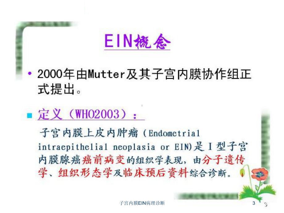 子宫内膜EIN病理诊断培训课件.ppt_第3页