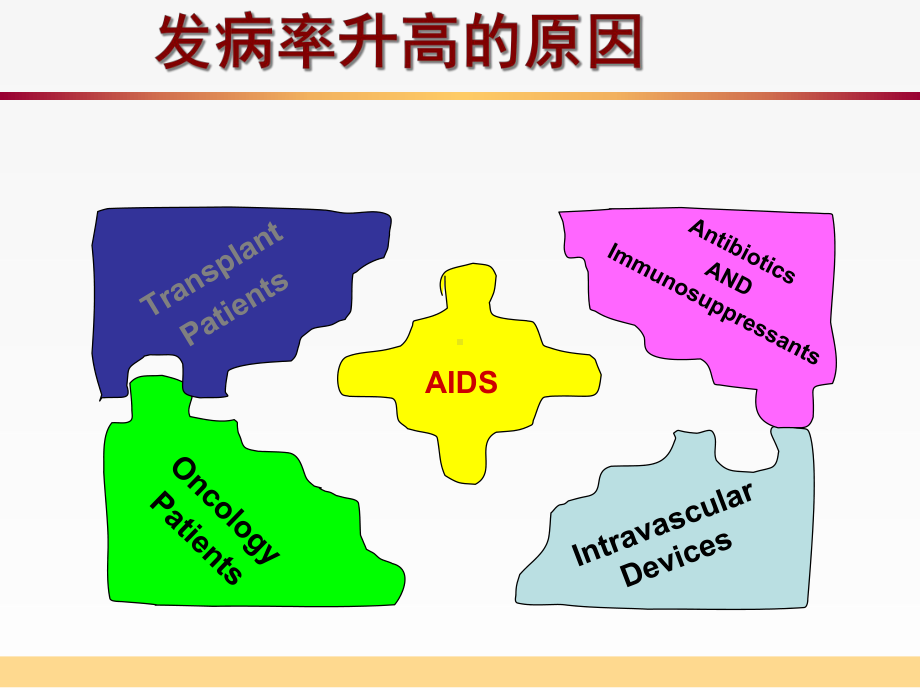 侵袭性肺部真菌感染经验性治疗进展培训课件.ppt_第2页