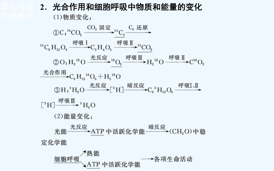 光合作用和细胞呼吸课件.ppt_第2页