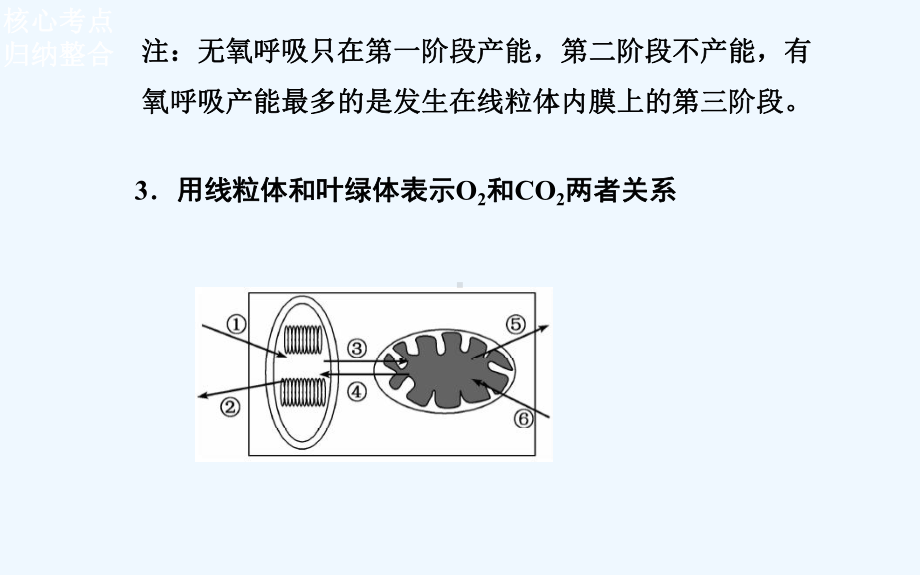 光合作用和细胞呼吸课件.ppt_第3页