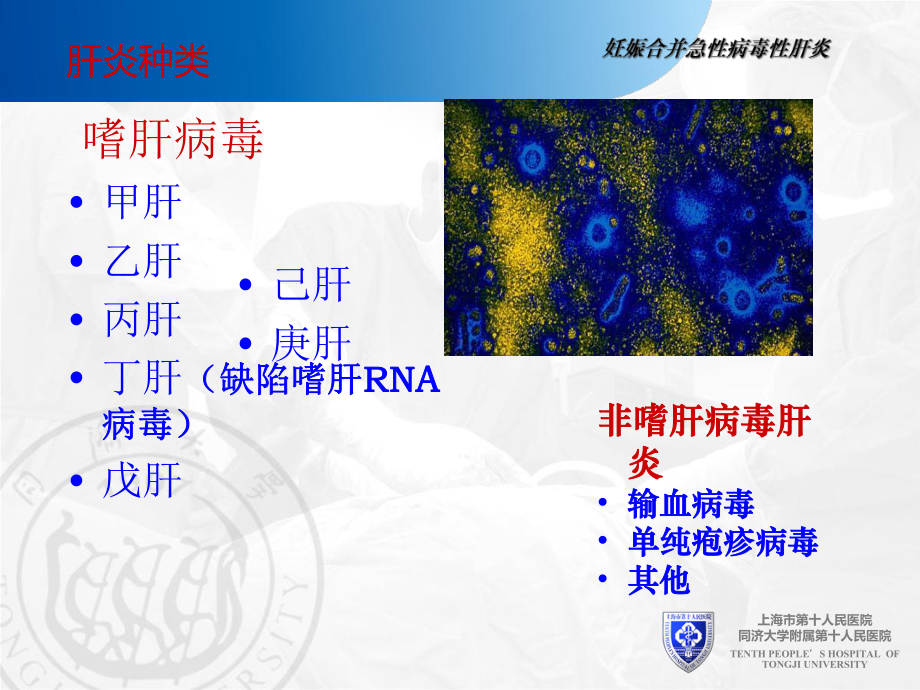 妊娠合并肝病课件.pptx_第2页