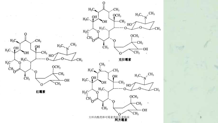 大环内酯类林可霉素类抗生素临床课件.ppt_第3页