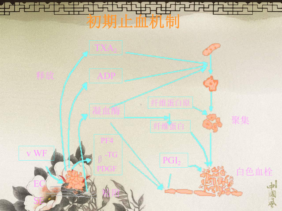 出血性与血栓性疾病研究进展实用版课件.pptx_第3页