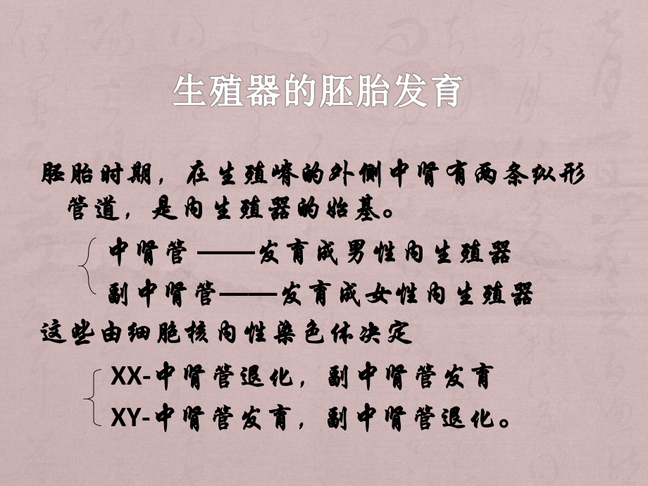 子宫畸形医学课件.pptx_第3页