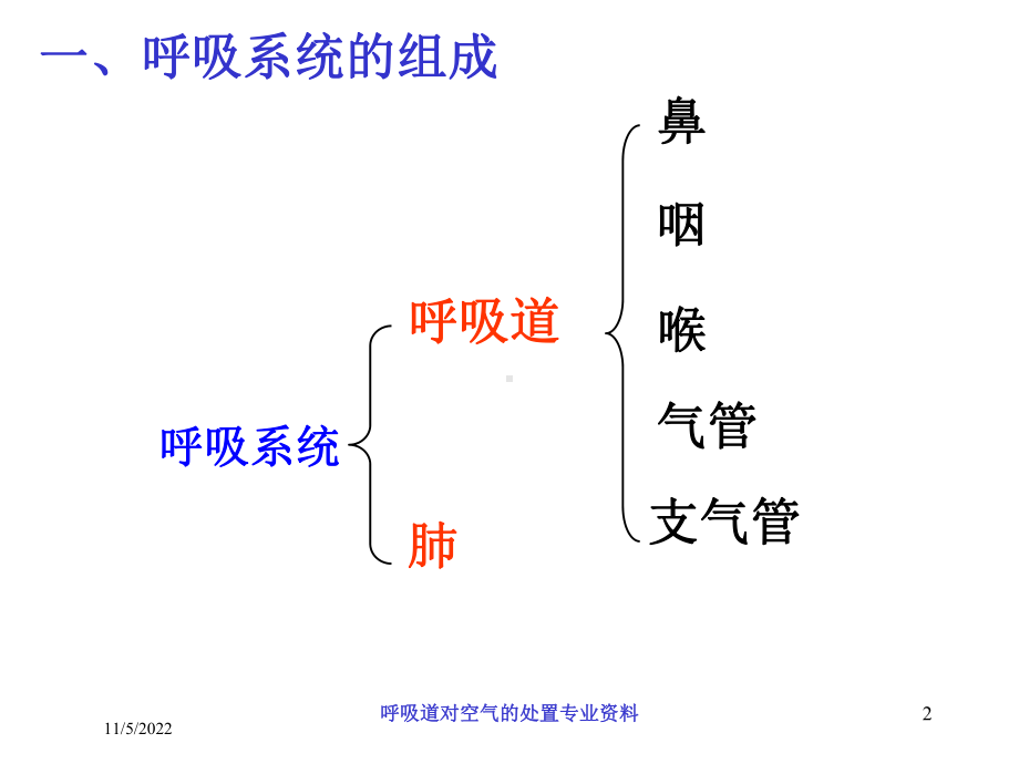 呼吸道对空气的处置专业培训课件.ppt_第2页