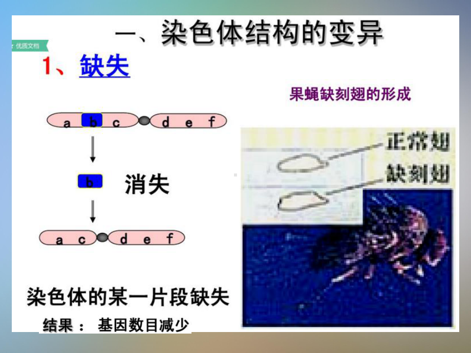 人教版高中生物必修二染色体变异课件.ppt_第3页