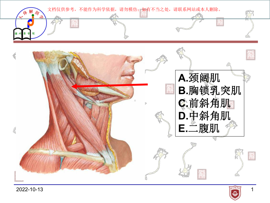 医疗局解图片培训课件.ppt_第1页