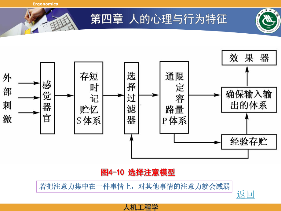 人的心理与行为特征2课件.ppt_第3页