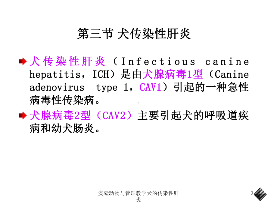 实验动物与管理教学犬的传染性肝炎课件.ppt_第2页