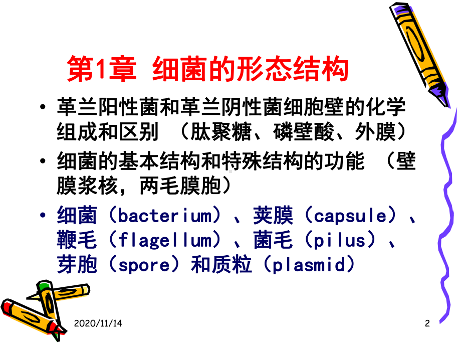 医学微生物总复习课件.ppt_第2页