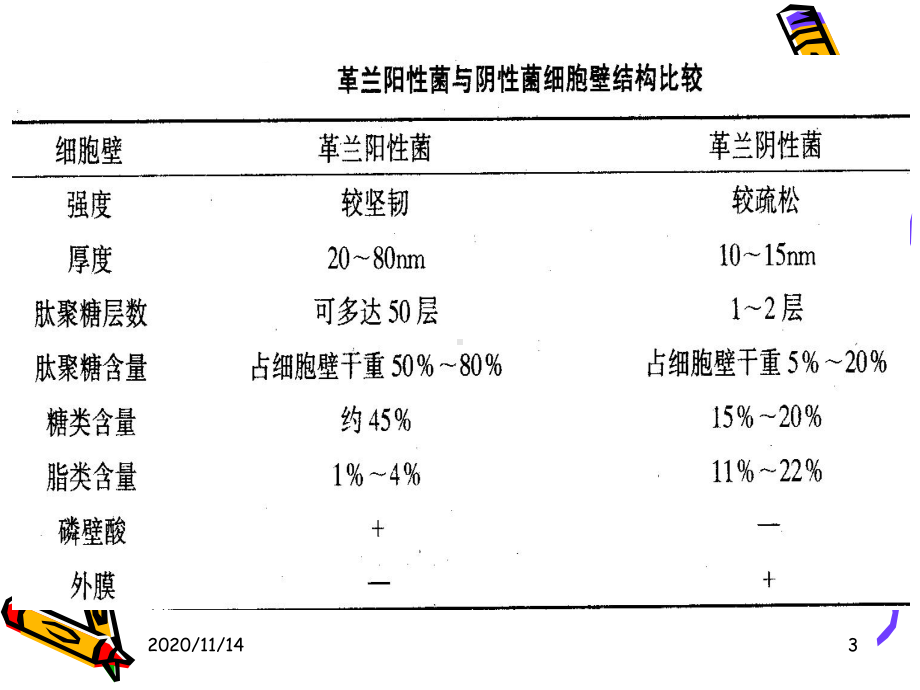 医学微生物总复习课件.ppt_第3页