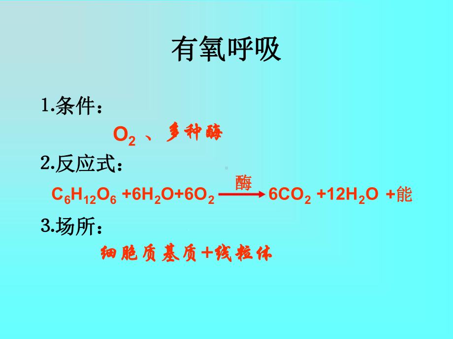 呼吸作用专题复习课件.ppt_第3页