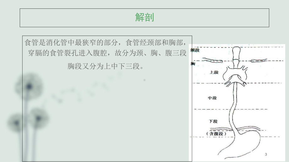 医学课件-食管癌的护理查房课件.ppt_第3页