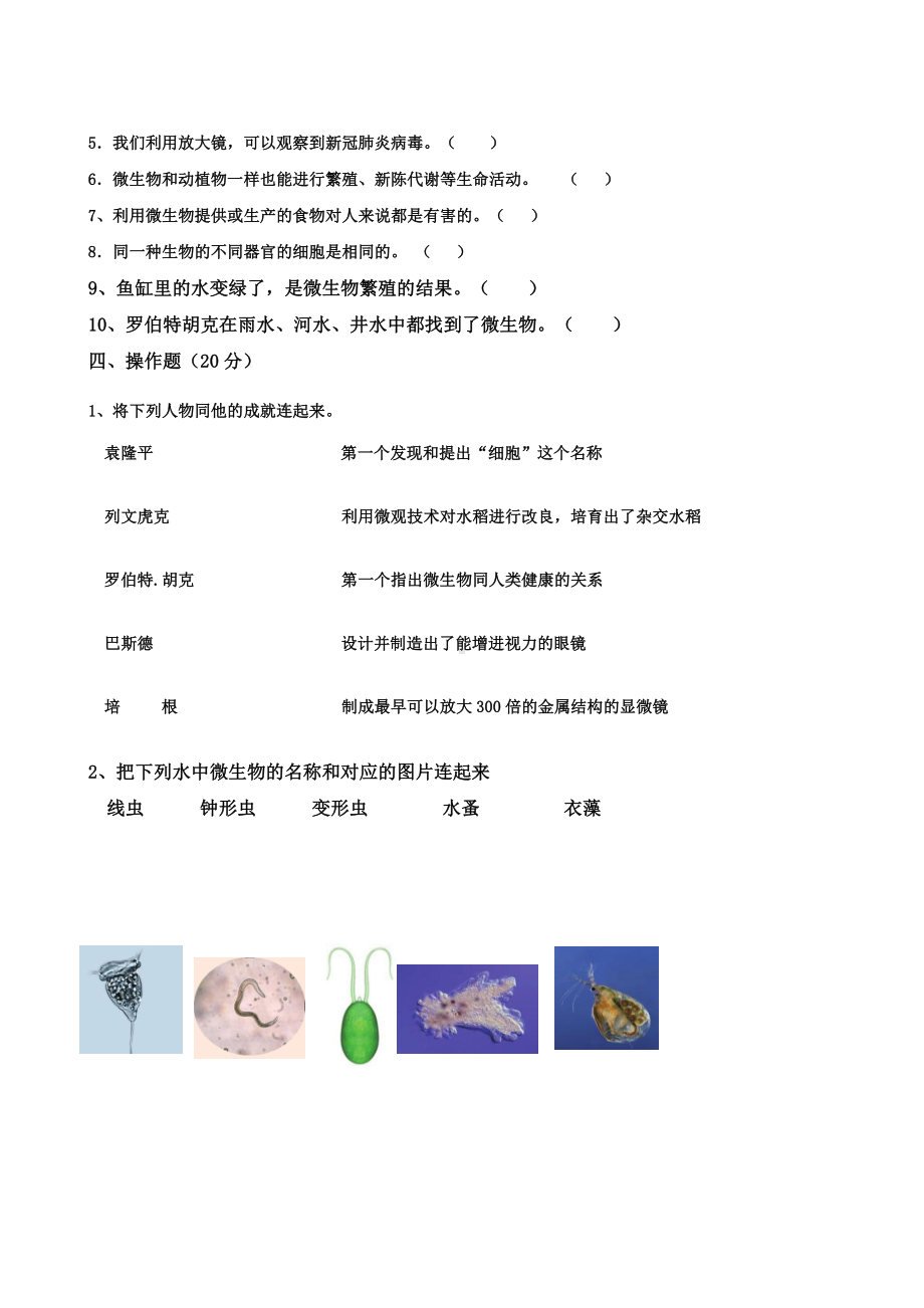 2022新教科版六年级上册《科学》第一单元《微小世界》（单元测试）.docx_第3页