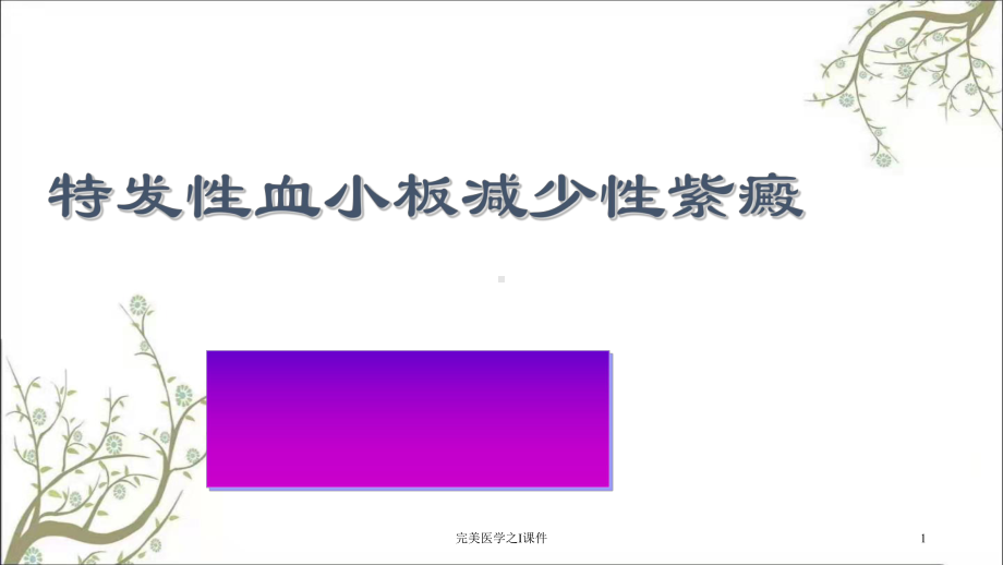 完美医学之I课件.ppt_第1页