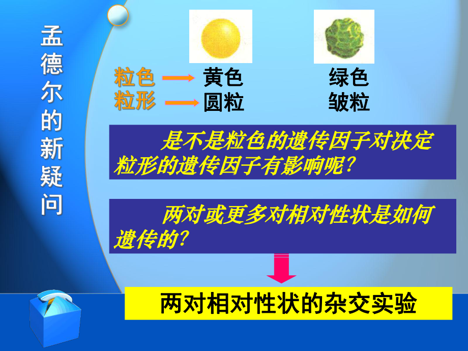 孟德尔的豌豆杂交实验(二)课件6.ppt_第2页