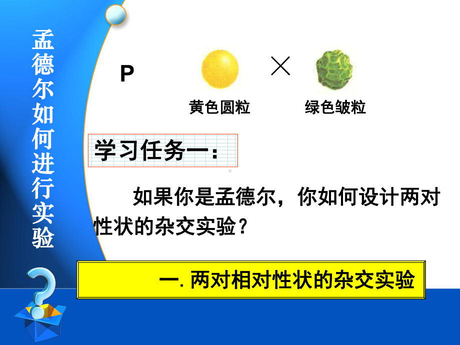 孟德尔的豌豆杂交实验(二)课件6.ppt_第3页