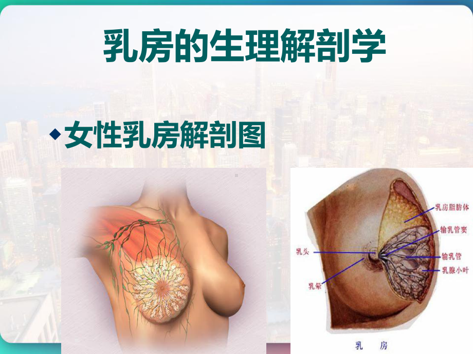 乳腺疾病科普知识-课件.pptx_第2页