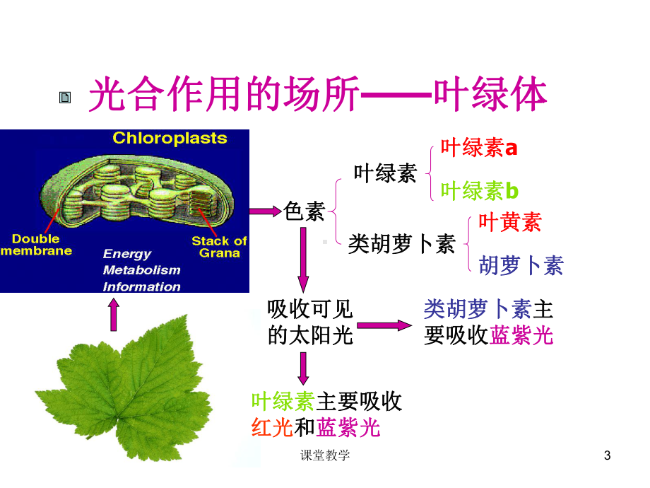 光合作用和细胞呼吸二轮复习(课时讲课)课件.ppt_第3页