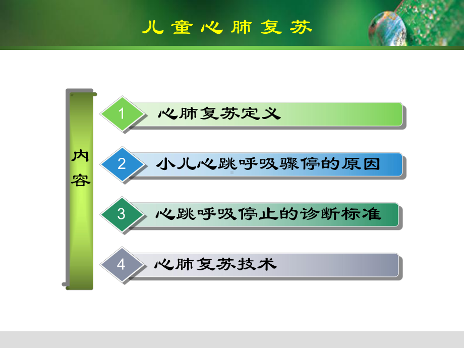 小儿心肺复苏汇总培训课件.ppt_第2页