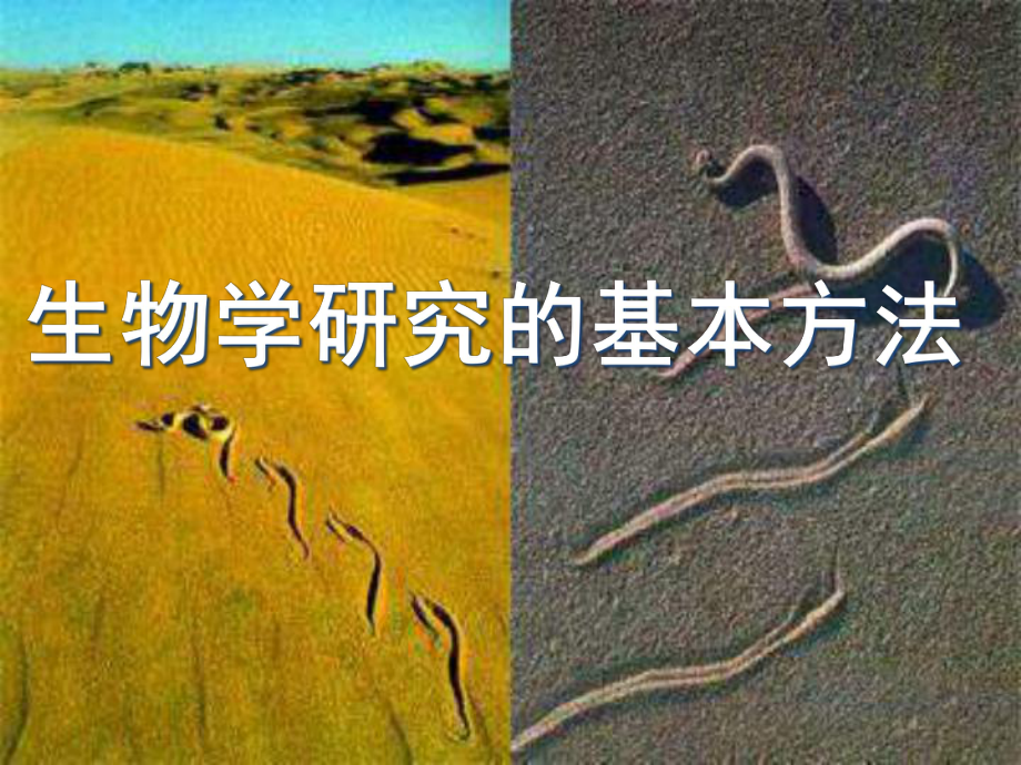 北师大版生物学研究的基本方法优质课件1.ppt_第1页