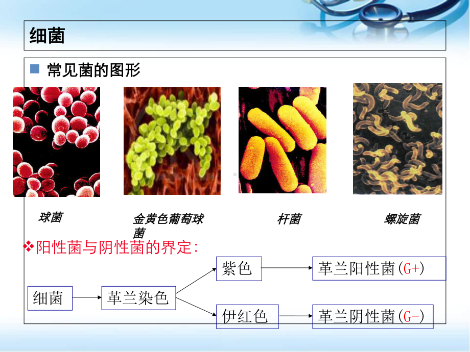 医学课件-抗生素基础知识课件.ppt_第3页