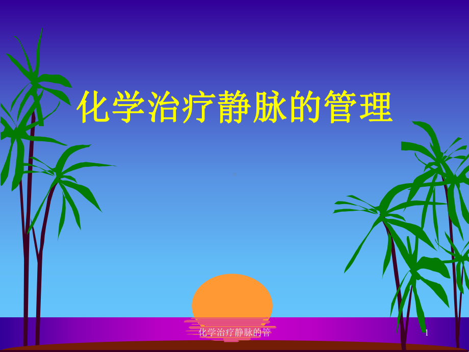 化学治疗静脉的管课件.ppt_第1页