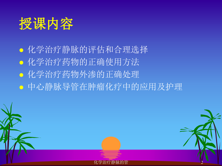 化学治疗静脉的管课件.ppt_第2页