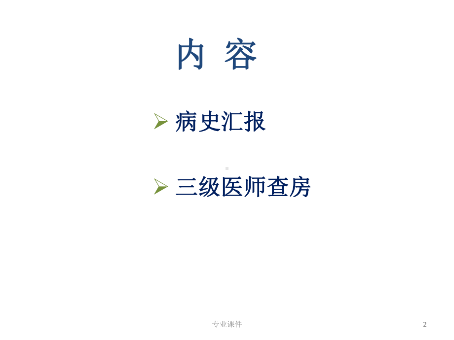 医生三级查房(业内借鉴)课件.ppt_第2页