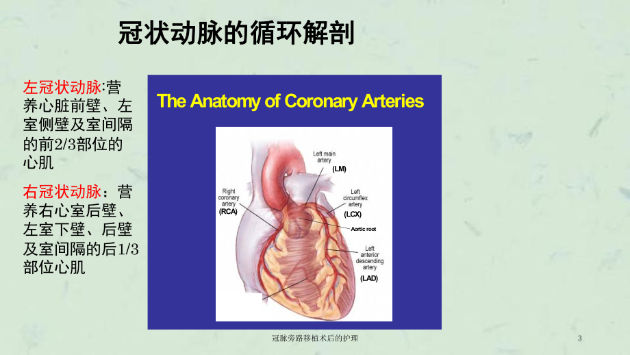 冠脉旁路移植术后的护理课件.ppt_第3页