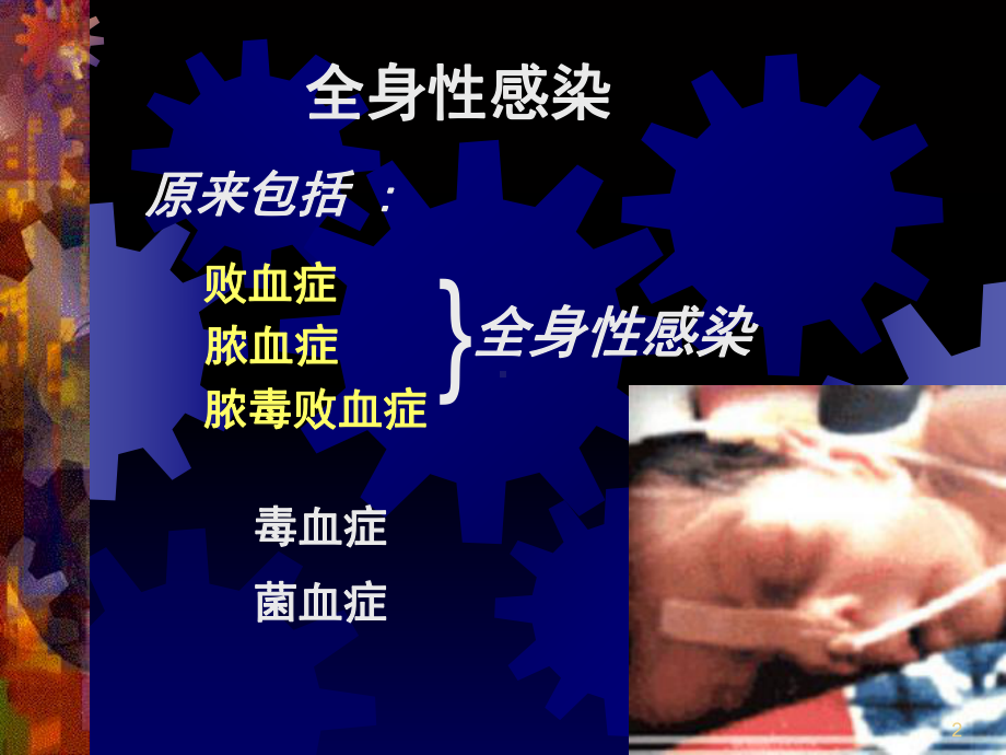 全身化脓性感染护理教学课件.ppt_第2页