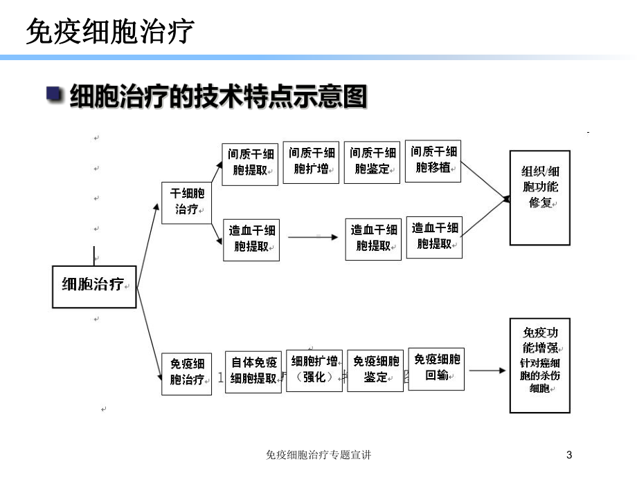 免疫细胞治疗专题宣讲培训课件.ppt_第3页