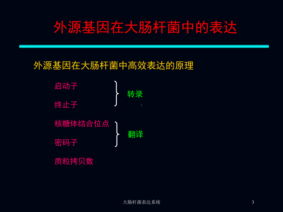 大肠杆菌表达系统培训课件.ppt_第3页