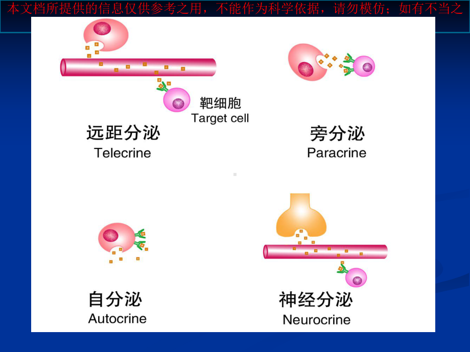 人体解剖生理学内分泌系统培训课件.ppt_第3页