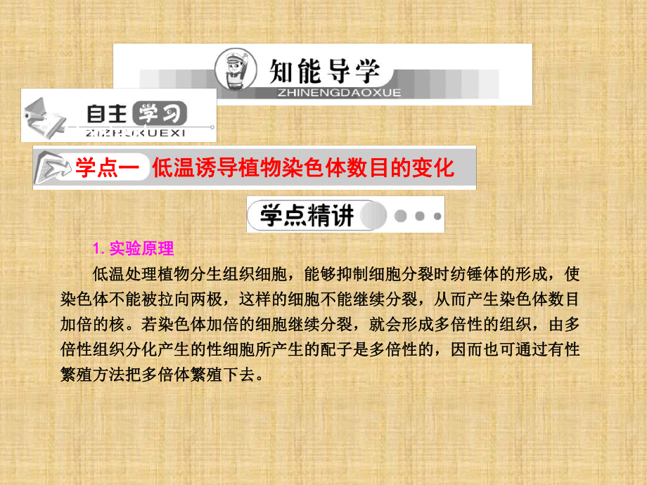 名师伴你行高考生物一轮复习53染色体变异二名师优质课件新人教版必修2.ppt_第3页