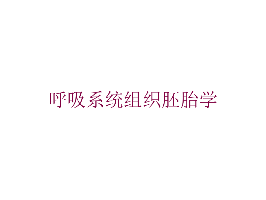 呼吸系统组织胚胎学培训课件.ppt_第1页