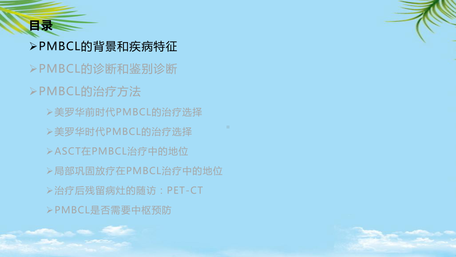 原发纵膈大B细胞淋巴瘤的诊断治疗策略PMA全面课件.pptx_第2页