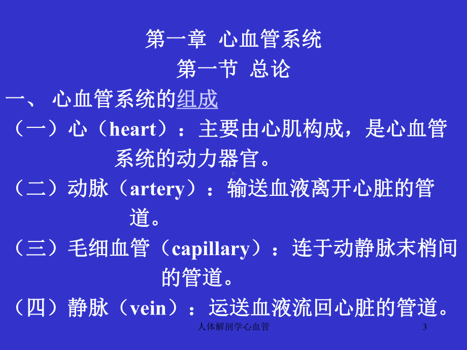 人体解剖学心血管课件.ppt_第3页