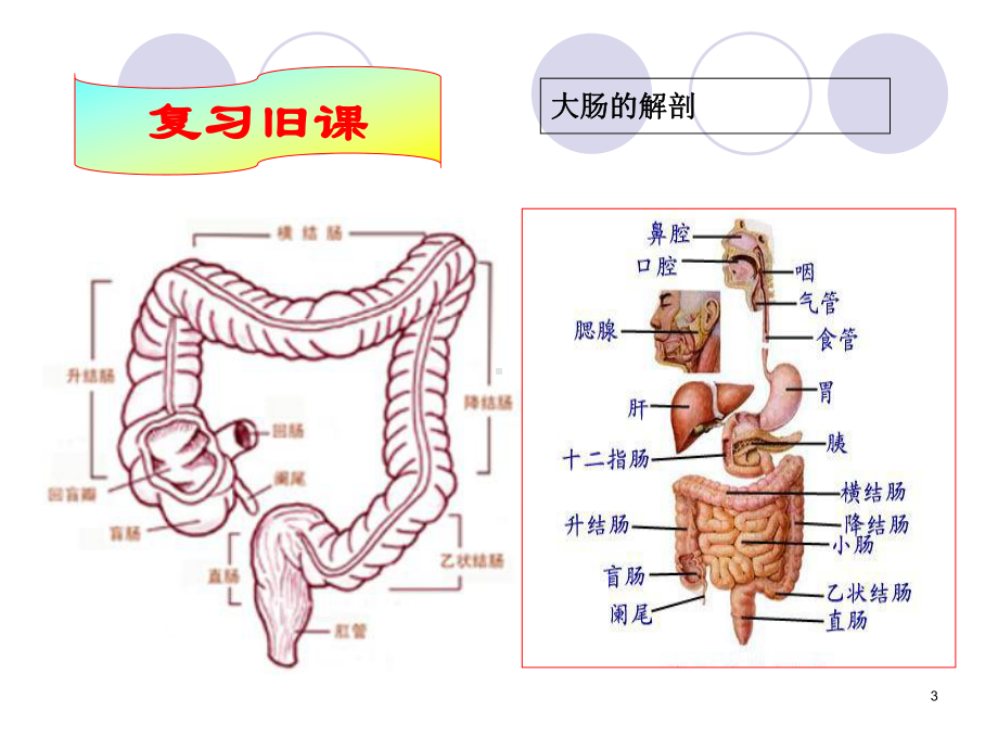 基础护理学之灌肠法优质课件.ppt_第3页