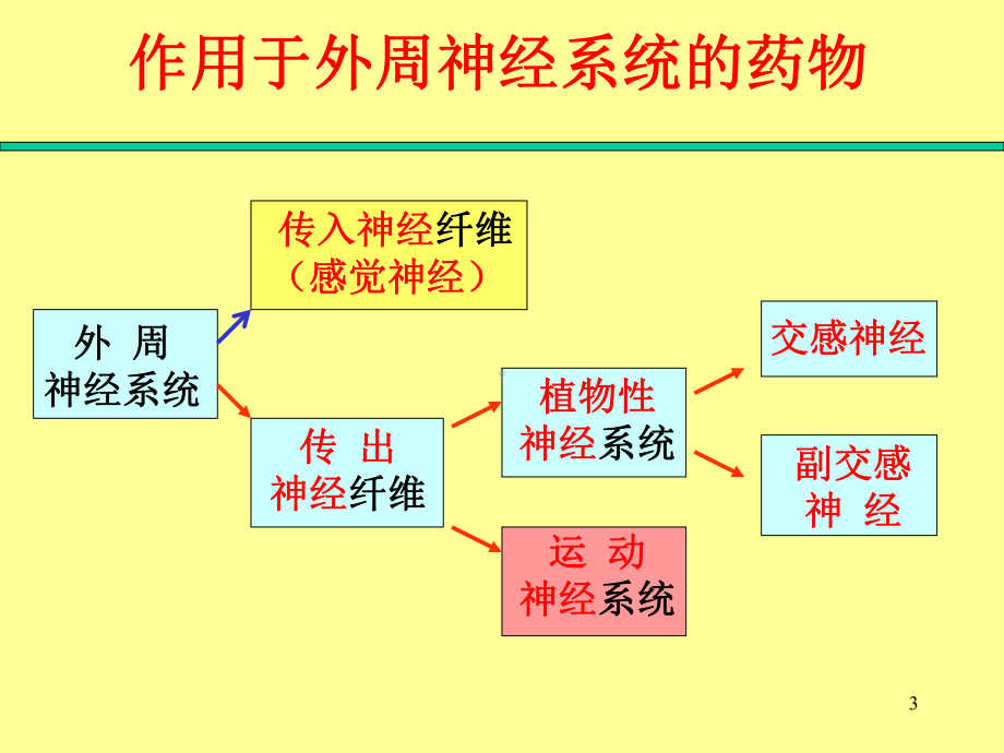 动物药理学-第五章-作用于外周神经系统的药物课件.ppt_第3页