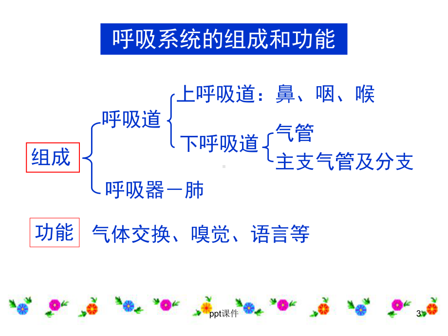 呼吸系统-课件.ppt_第3页