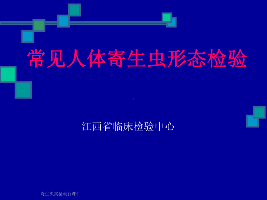 寄生虫实验课件.ppt_第1页